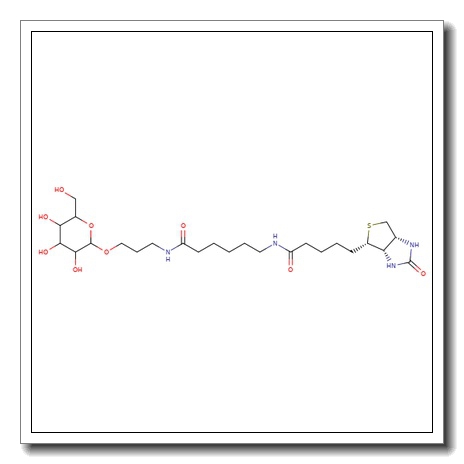 b-D-Galactose-sp-biotin