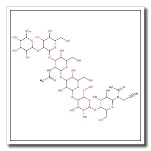 Globo-H-b-N-acetyl propargyl