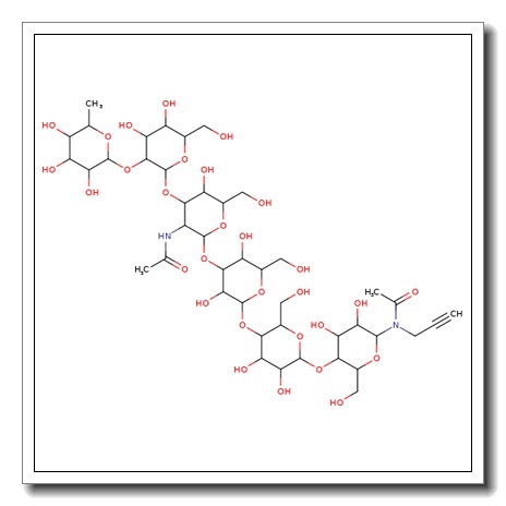 Globo-H-b-N-acetyl propargyl