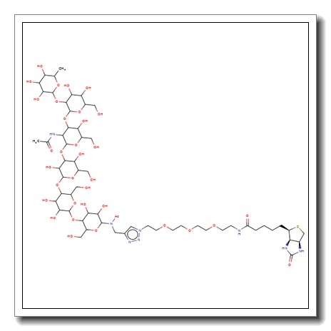 Globo-H hexasaccharide-sp-biotin