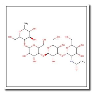 Globo-N-tetraose-APD-HSA