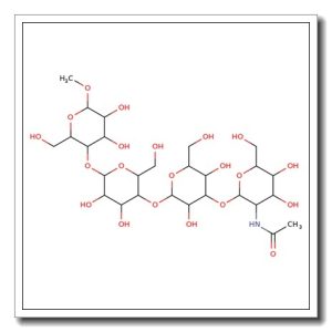 Globo-N-tetraose GEL