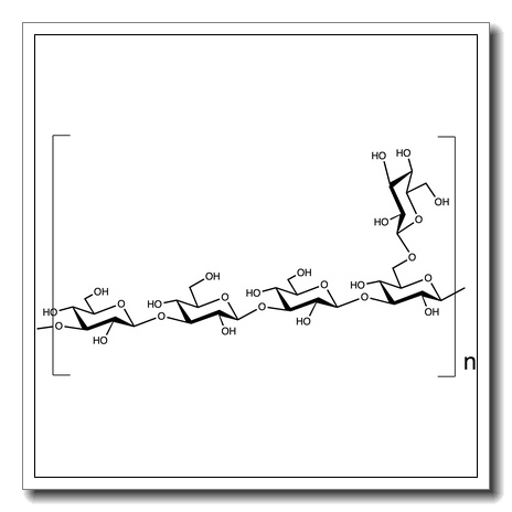 b-D-Glucan-from piptoporus betulinus