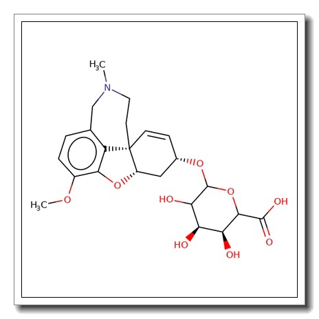 Galantamine-O-D-glucuronide