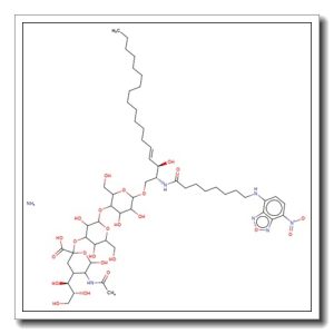 GM3-Ganglioside labelled by NBD ammonium