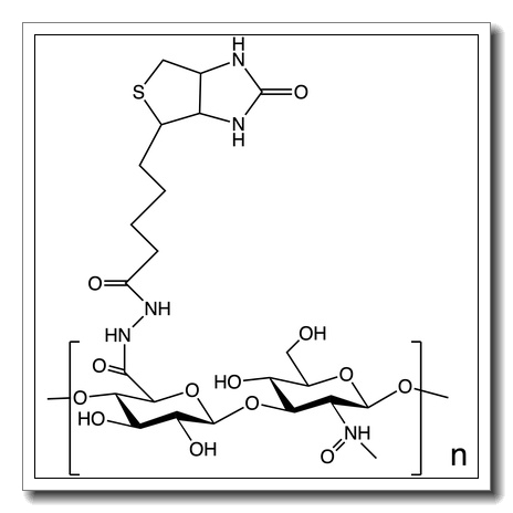 Hyaluronate biotin – Molecular Weight – 2500kDa