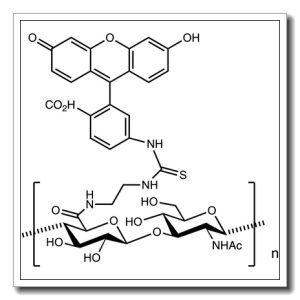Hyaluronate fluorescein – Molecular Weight – 50kDa