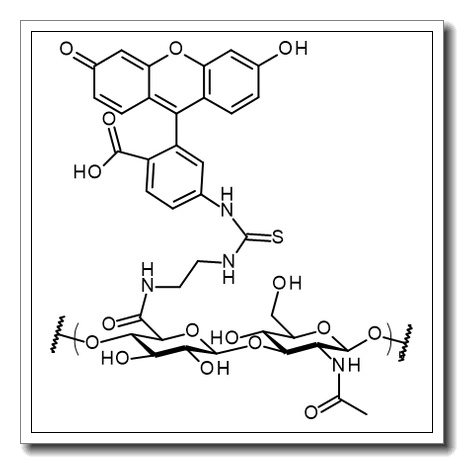 Hyaluronate fluorescein – MW – 800kDa