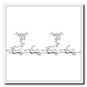 Hyaluronate rhodamine – Molecular Weight – 20kDa