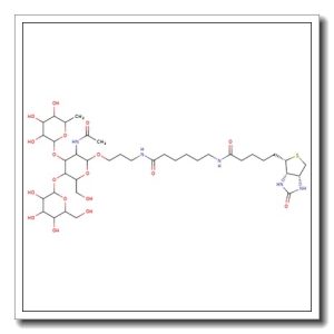 Lewis X trisaccharide-sp-biotin