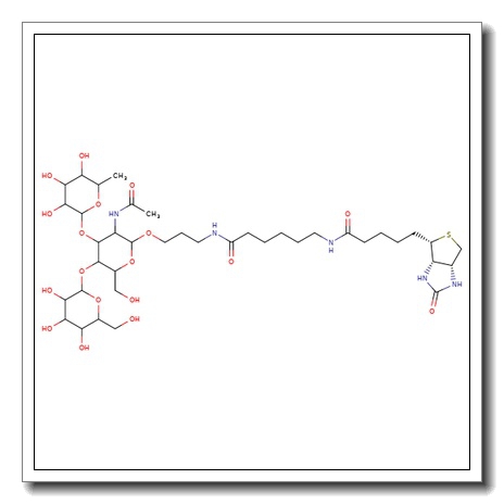 Lewis X trisaccharide-sp-biotin