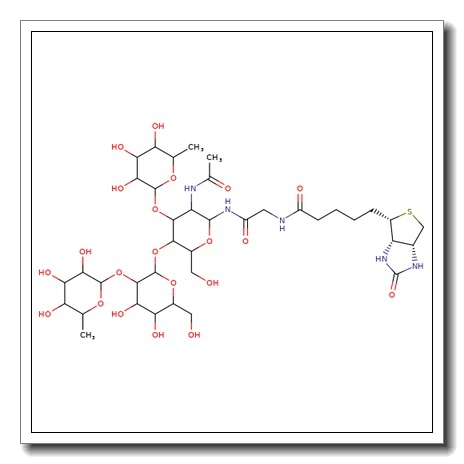 Lewis Y-NHCOCH2NH-biotin