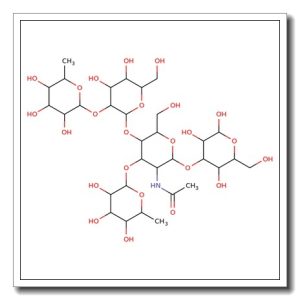 Lewis Y pentasaccharide