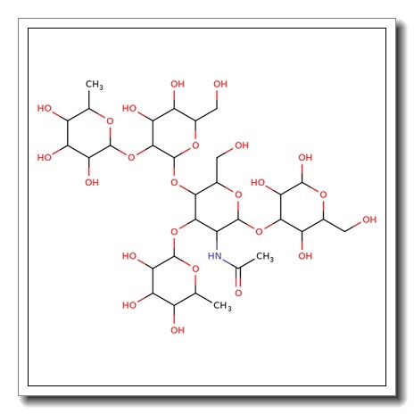 Lewis Y pentasaccharide