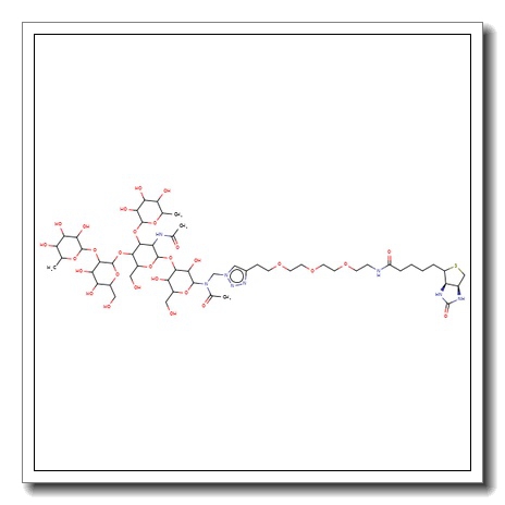 Lewis Y pentasaccharide-sp-biotin