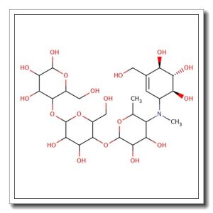 N-Methyl acarbose