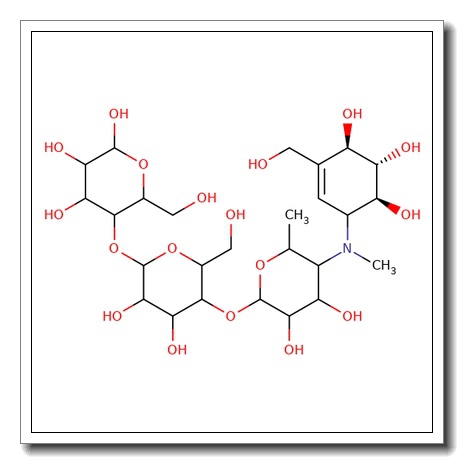 N-Methyl acarbose