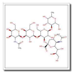 GM1-Pentasaccharide, APD-HSA conjugate
