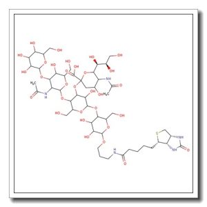 GM1-Pentasaccharide labelled by biotin