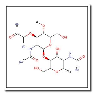 Peptidoglycan – from Staphylococcus aureus