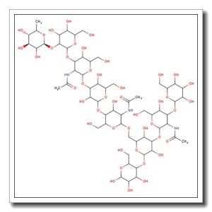 Monofucosyl (1-2)-iso-lacto-N-octaose I