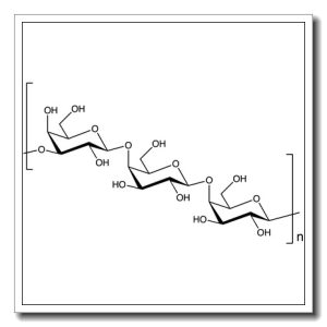 Pectic galactan – From lupin