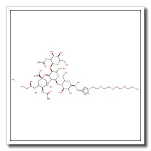 GM2-Oligosaccharide-spacer-NH2 ammonium