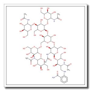 NGA3 Glycan, 2-AB labelled