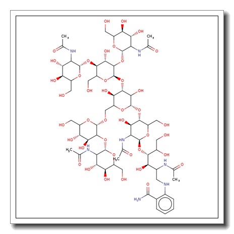 NGA3 Glycan, 2-AB labelled