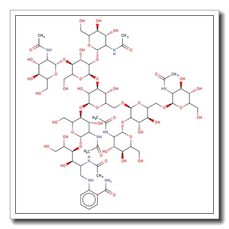 NGA4 Glycan, 2-AB labelled