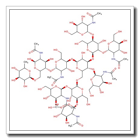 NGA5FB N-Glycan