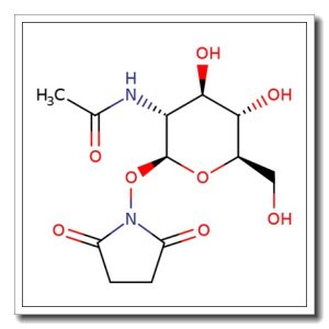 N-(Succinyl)-2-acetamido-2-deoxy-b-D-glucopyranosylhydroxylamine