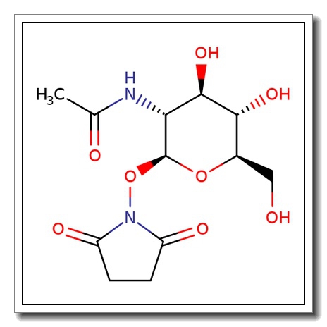 N-(Succinyl)-2-acetamido-2-deoxy-b-D-glucopyranosylhydroxylamine