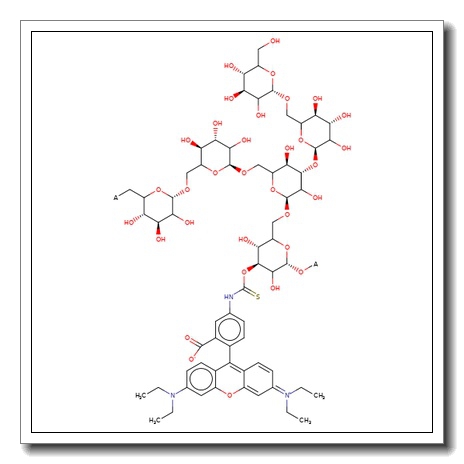 Rhodamine B isothiocyanate-dextran – Average MW 10,000