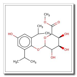 Propofol-D-glucuronide methyl ester