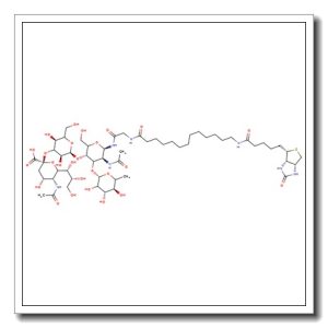 3′-Sialyl Lewis X 16-sp – biotin