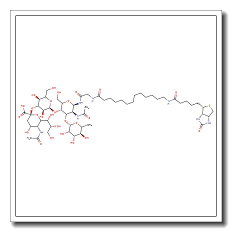 3′-Sialyl Lewis X 16-sp – biotin