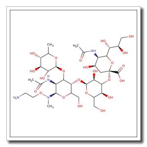 3′-Sialyl Lewis X 1-N-methyl-N-hydroxyethylamine