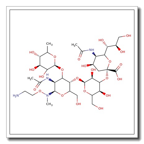 3′-Sialyl Lewis X 1-N-methyl-N-hydroxyethylamine
