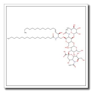 Sialyl Lewis X ceramide