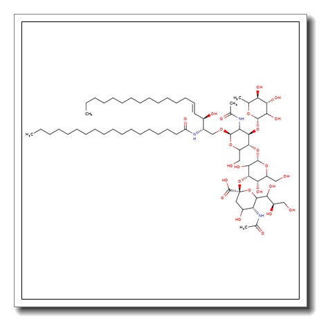 Sialyl Lewis X ceramide