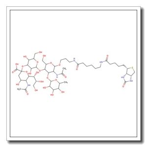 3′-Sialyl Lewis X-sp-biotin