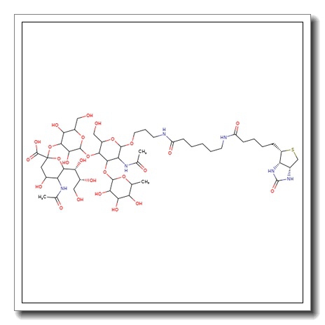 3′-Sialyl Lewis X-sp-biotin