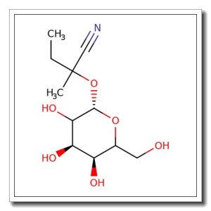rac-Lotaustralin