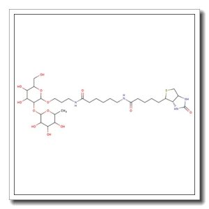 Blood Group H disaccharide, spacer-biotin conjugate