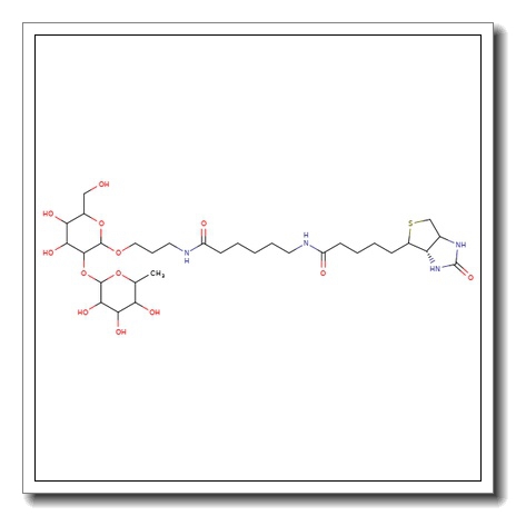 Blood Group H disaccharide, spacer-biotin conjugate