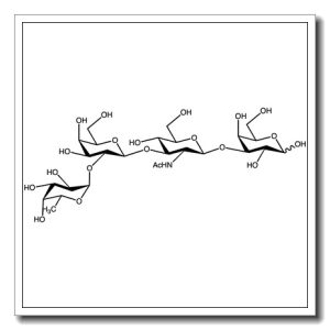 Blood group H type I tetrasaccharide