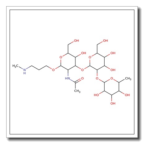 Blood Group H type I trisaccharide-PAA-biotin