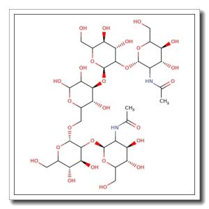 Bianntennary N-linked core pentasaccharide