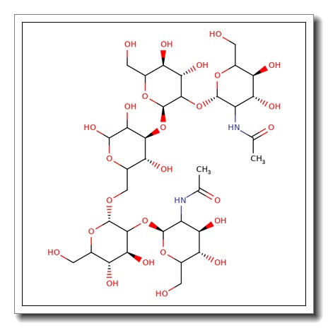 Bianntennary N-linked core pentasaccharide